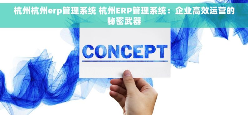 杭州杭州erp管理系统 杭州ERP管理系统：企业高效运营的秘密武器