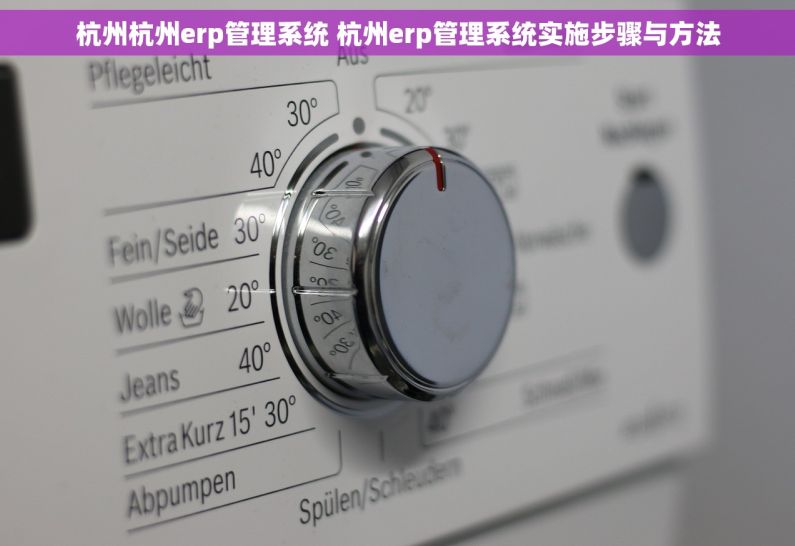 杭州杭州erp管理系统 杭州erp管理系统实施步骤与方法