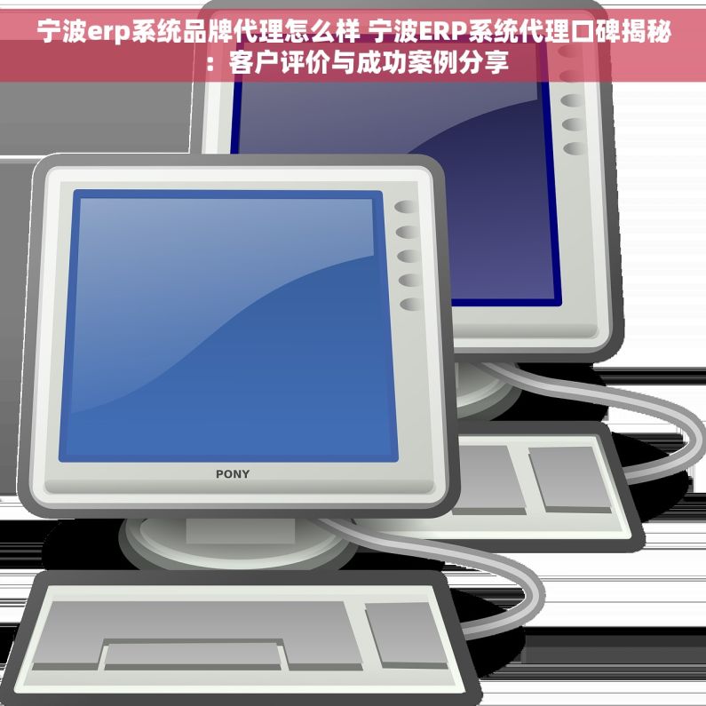 宁波erp系统品牌代理怎么样 宁波ERP系统代理口碑揭秘：客户评价与成功案例分享