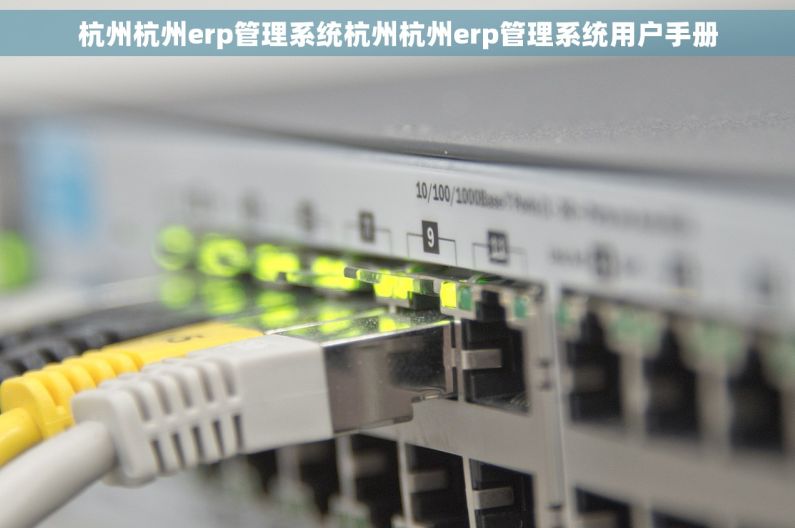 杭州杭州erp管理系统杭州杭州erp管理系统用户手册