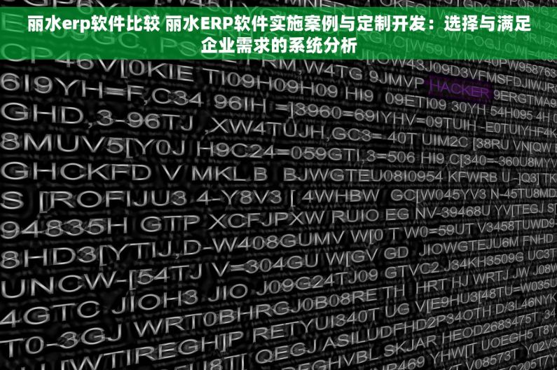 丽水erp软件比较 丽水ERP软件实施案例与定制开发：选择与满足企业需求的系统分析