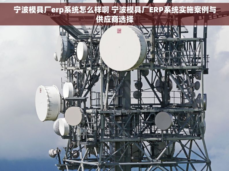 宁波模具厂erp系统怎么样啊 宁波模具厂ERP系统实施案例与供应商选择