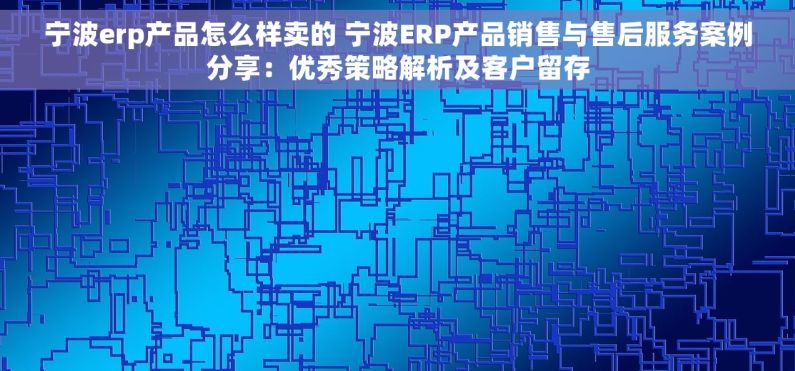 宁波erp产品怎么样卖的 宁波ERP产品销售与售后服务案例分享：优秀策略解析及客户留存