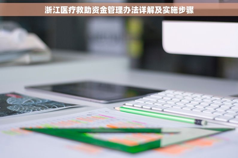 浙江医疗救助资金管理办法详解及实施步骤