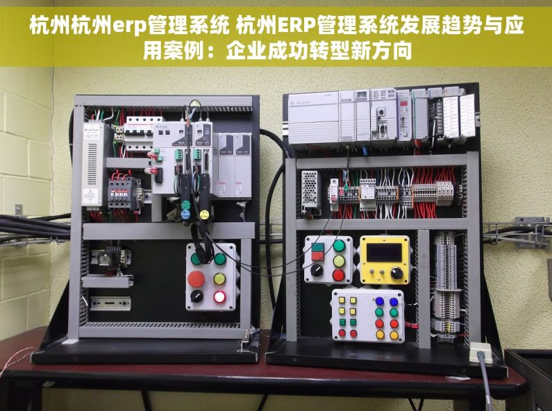 杭州杭州erp管理系统 杭州ERP管理系统发展趋势与应用案例：企业成功转型新方向