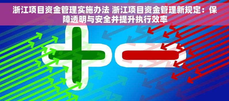 浙江项目资金管理实施办法 浙江项目资金管理新规定：保障透明与安全并提升执行效率