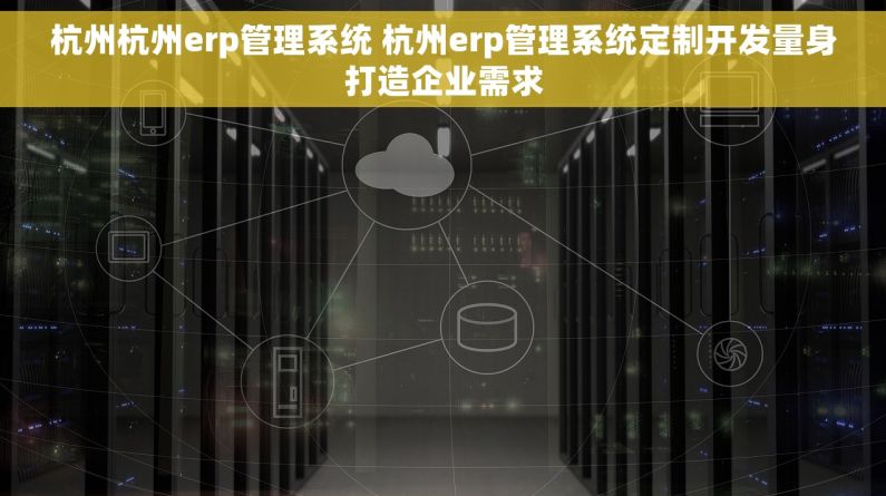 杭州杭州erp管理系统 杭州erp管理系统定制开发量身打造企业需求
