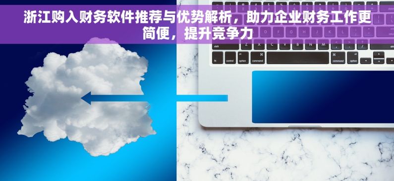 浙江购入财务软件推荐与优势解析，助力企业财务工作更简便，提升竞争力