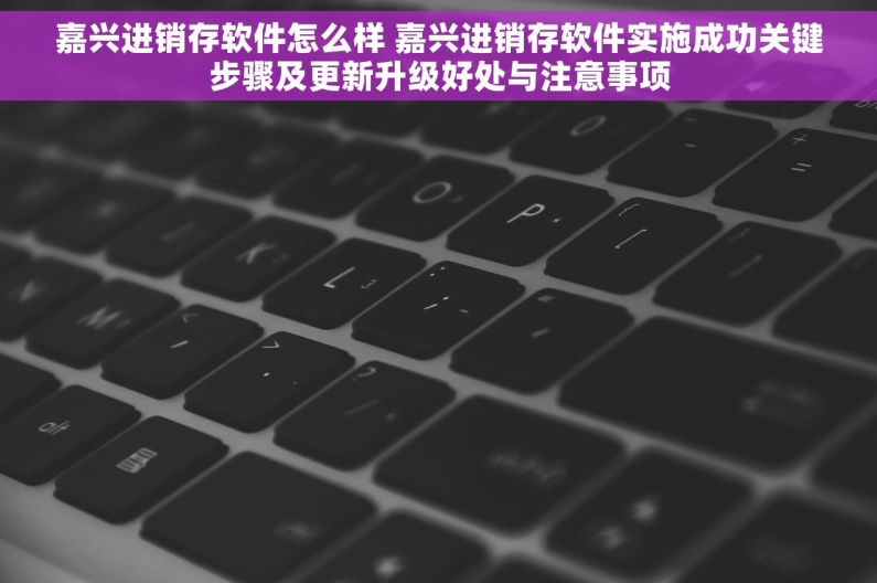 嘉兴进销存软件怎么样 嘉兴进销存软件实施成功关键步骤及更新升级好处与注意事项