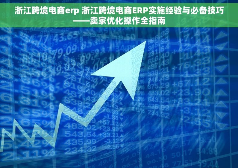 浙江跨境电商erp 浙江跨境电商ERP实施经验与必备技巧——卖家优化操作全指南