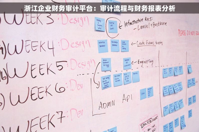 浙江企业财务审计平台：审计流程与财务报表分析