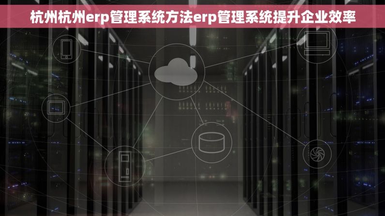 杭州杭州erp管理系统方法erp管理系统提升企业效率