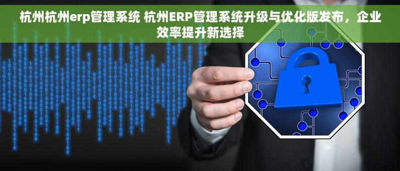 杭州杭州erp管理系统 杭州ERP管理系统升级与优化版发布，企业效率提升新选择