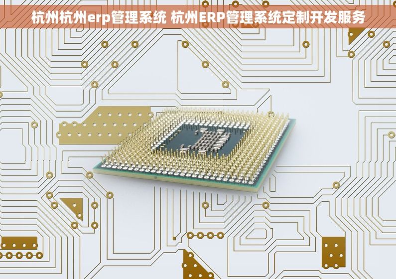 杭州杭州erp管理系统 杭州ERP管理系统定制开发服务