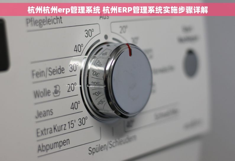 杭州杭州erp管理系统 杭州ERP管理系统实施步骤详解