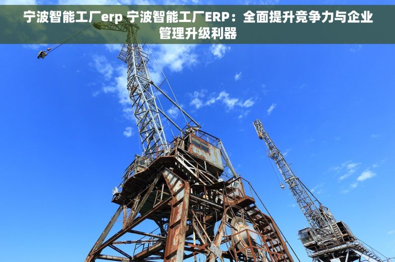 宁波智能工厂erp 宁波智能工厂ERP：全面提升竞争力与企业管理升级利器