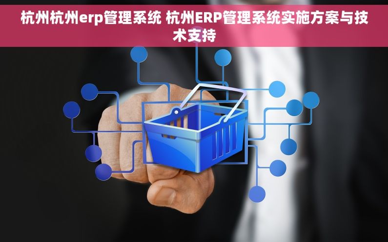 杭州杭州erp管理系统 杭州ERP管理系统实施方案与技术支持