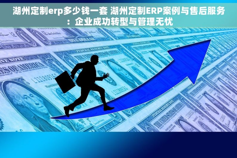 湖州定制erp多少钱一套 湖州定制ERP案例与售后服务：企业成功转型与管理无忧
