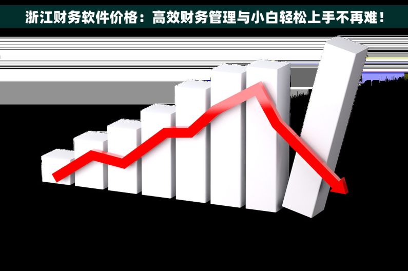 浙江财务软件价格：高效财务管理与小白轻松上手不再难！