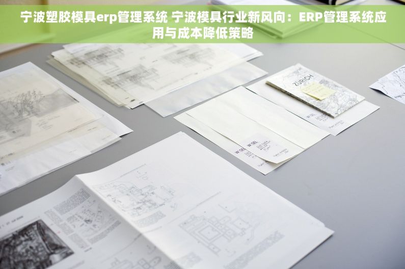 宁波塑胶模具erp管理系统 宁波模具行业新风向：ERP管理系统应用与成本降低策略