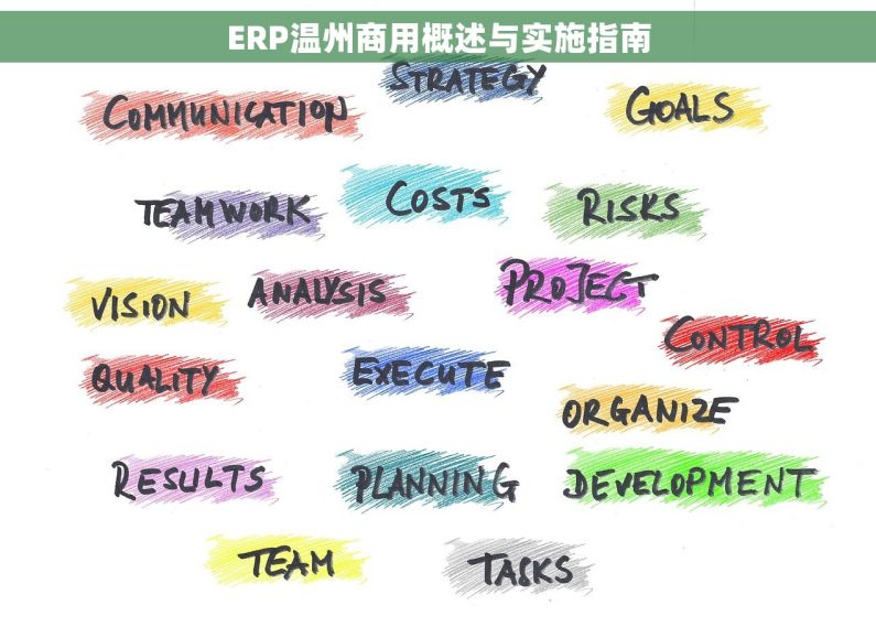 ERP温州商用概述与实施指南