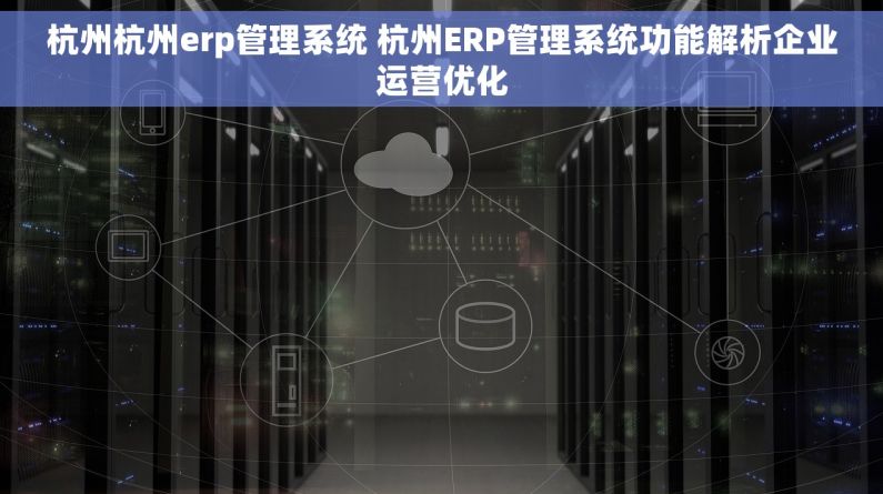 杭州杭州erp管理系统 杭州ERP管理系统功能解析企业运营优化