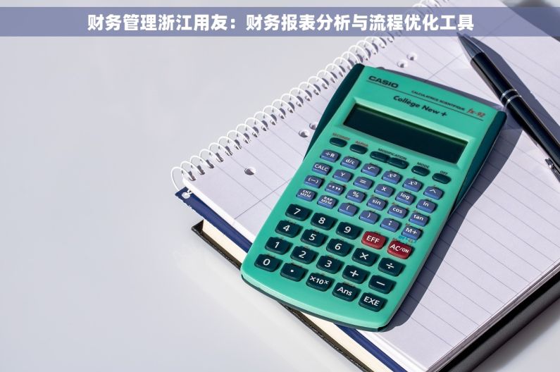 财务管理浙江用友：财务报表分析与流程优化工具