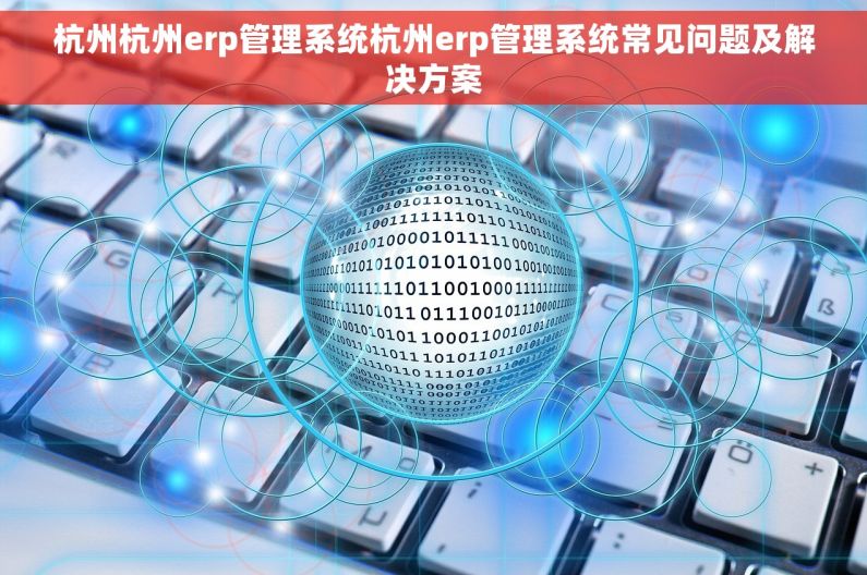 杭州杭州erp管理系统杭州erp管理系统常见问题及解决方案
