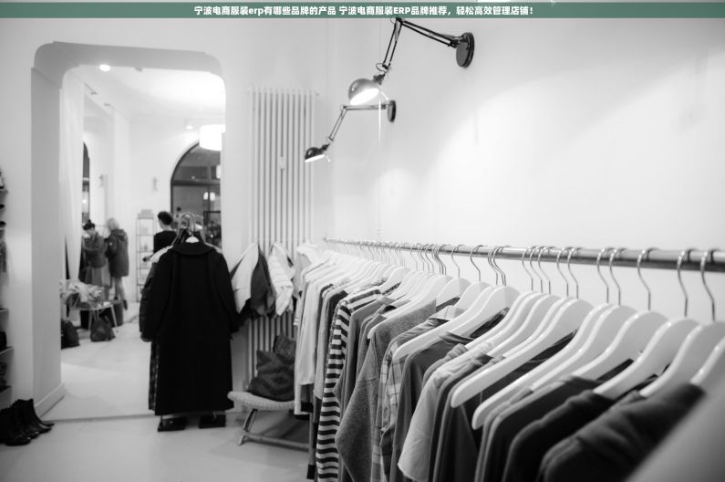 宁波电商服装erp有哪些品牌的产品 宁波电商服装ERP品牌推荐，轻松高效管理店铺！