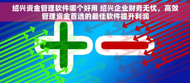 绍兴资金管理软件哪个好用 绍兴企业财务无忧，高效管理资金首选的最佳软件提升利润