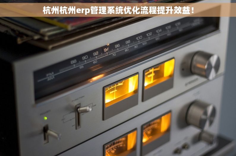 杭州杭州erp管理系统优化流程提升效益！