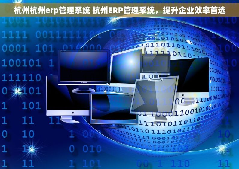 杭州杭州erp管理系统 杭州ERP管理系统，提升企业效率首选