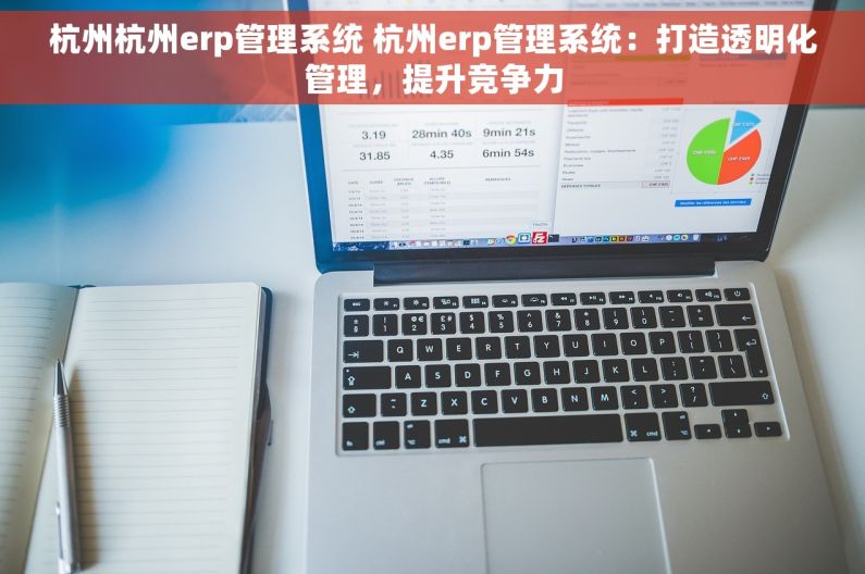 杭州杭州erp管理系统 杭州erp管理系统：打造透明化管理，提升竞争力