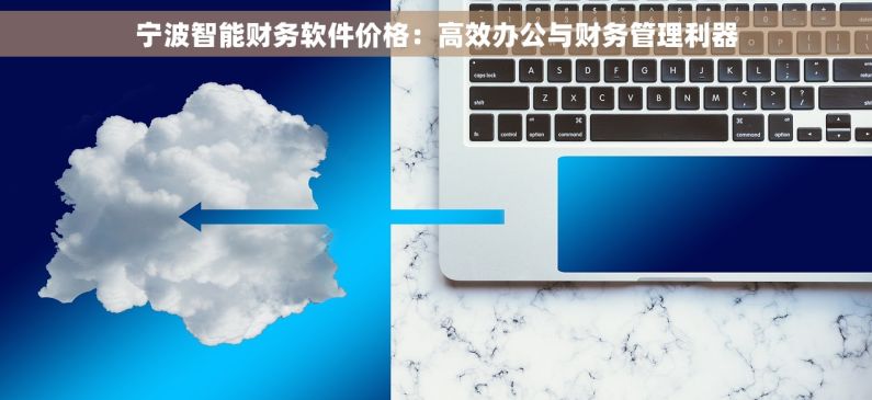 宁波智能财务软件价格：高效办公与财务管理利器