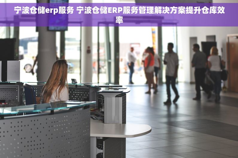 宁波仓储erp服务 宁波仓储ERP服务管理解决方案提升仓库效率