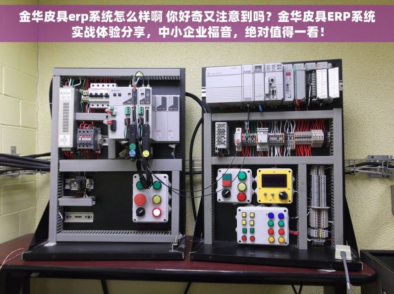 金华皮具erp系统怎么样啊 你好奇又注意到吗？金华皮具ERP系统实战体验分享，中小企业福音，绝对值得一看！