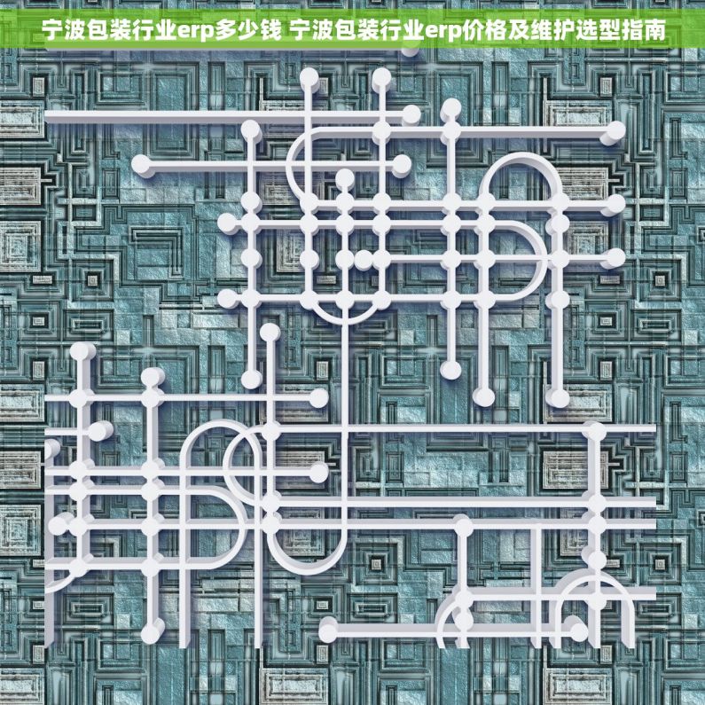 宁波包装行业erp多少钱 宁波包装行业erp价格及维护选型指南
