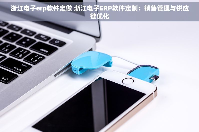 浙江电子erp软件定做 浙江电子ERP软件定制：销售管理与供应链优化