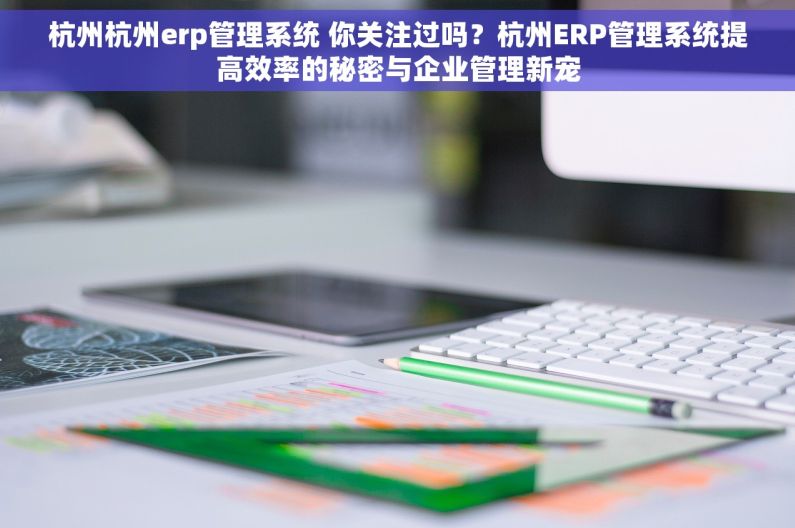 杭州杭州erp管理系统 你关注过吗？杭州ERP管理系统提高效率的秘密与企业管理新宠