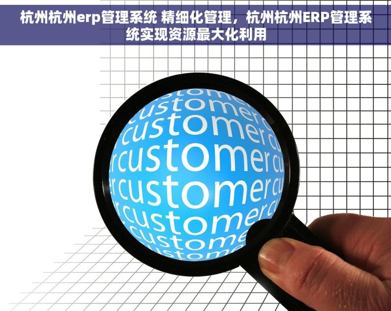 杭州杭州erp管理系统 精细化管理，杭州杭州ERP管理系统实现资源最大化利用