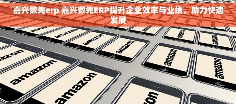 嘉兴数先erp 嘉兴数先ERP提升企业效率与业绩，助力快速发展