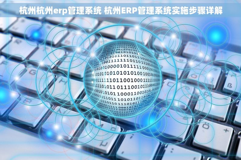 杭州杭州erp管理系统 杭州ERP管理系统实施步骤详解