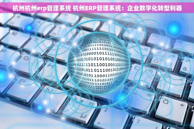 杭州杭州erp管理系统 杭州ERP管理系统：企业数字化转型利器