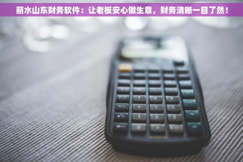 丽水山东财务软件：让老板安心做生意，财务清晰一目了然！