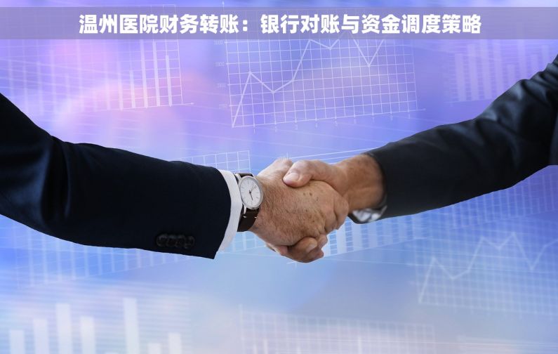 温州医院财务转账：银行对账与资金调度策略