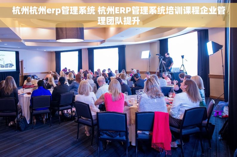 杭州杭州erp管理系统 杭州ERP管理系统培训课程企业管理团队提升