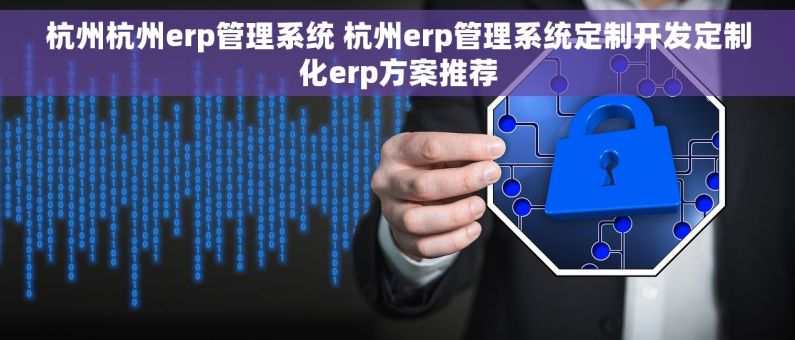 杭州杭州erp管理系统 杭州erp管理系统定制开发定制化erp方案推荐