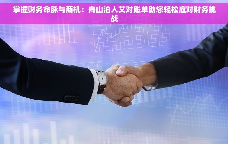 掌握财务命脉与商机：舟山泊人艾对账单助您轻松应对财务挑战