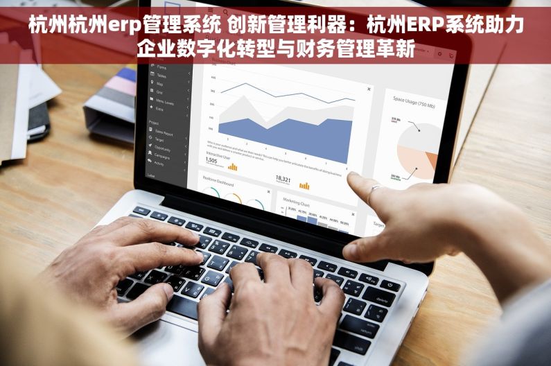 杭州杭州erp管理系统 创新管理利器：杭州ERP系统助力企业数字化转型与财务管理革新