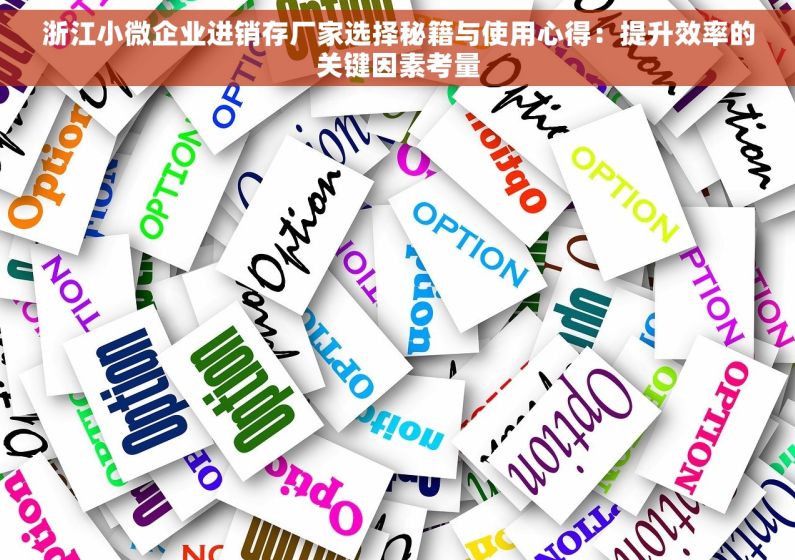 浙江小微企业进销存厂家选择秘籍与使用心得：提升效率的关键因素考量